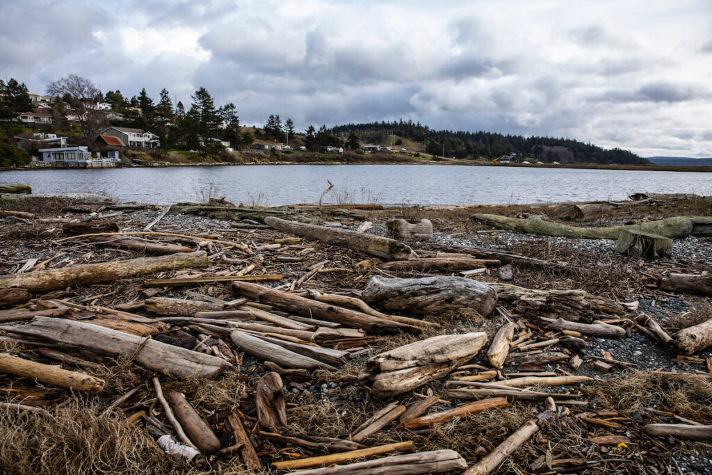 University of Washington Biological Preserve San Juan Island