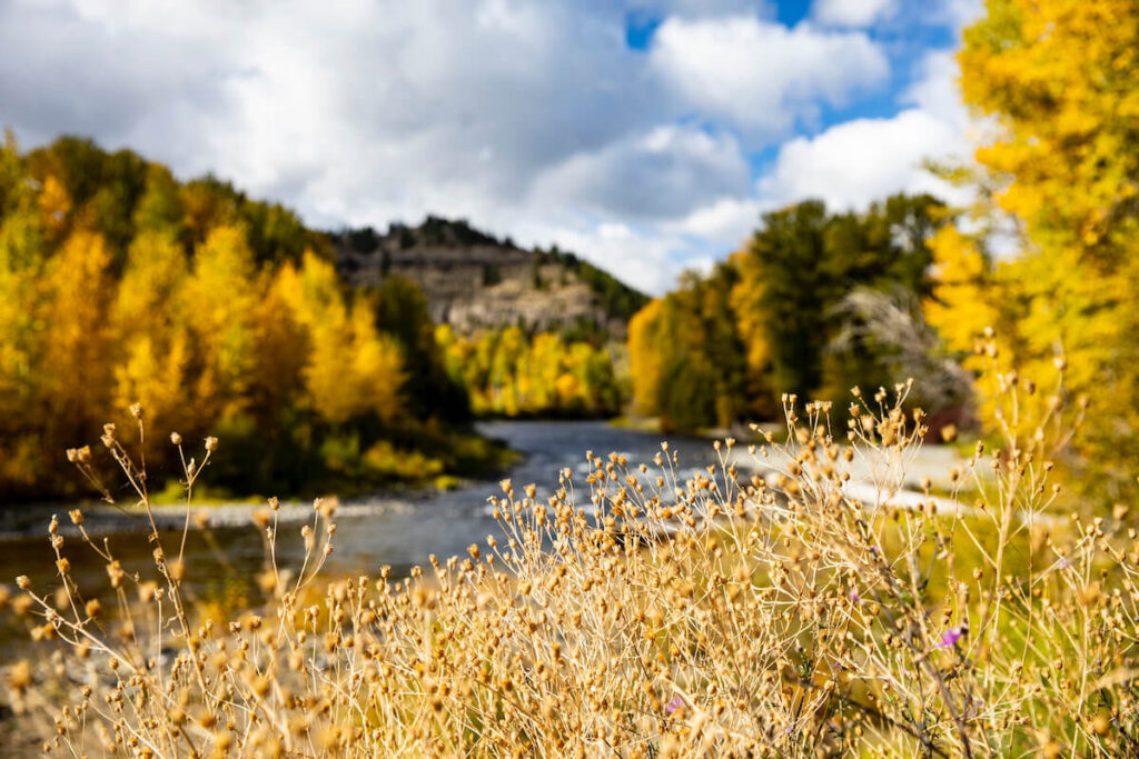 Yakima Valley Landscapes